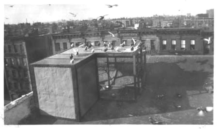 pigeon coop